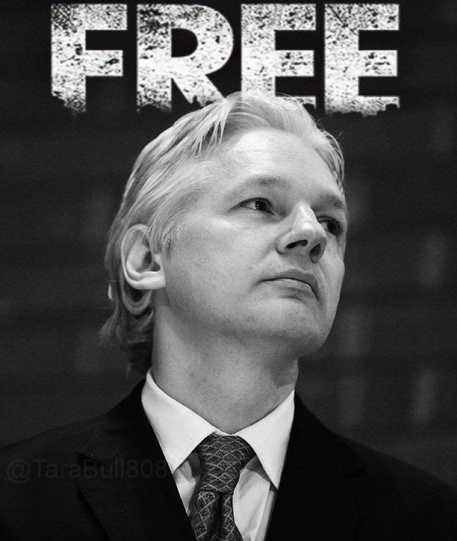 ASSANGE IS FREE ASSANGE IS FREE ASSANGE IS FREE